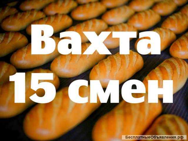 Упаковщица хлеба Вахта в Москве с проживанием