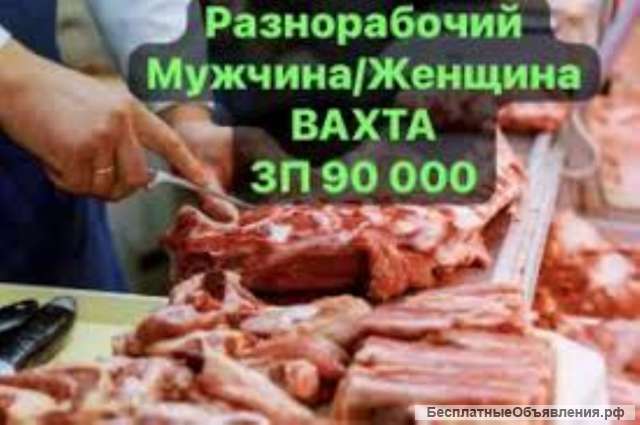 Работа упаковщик на птицефабрику вахтой в Москве с питанием