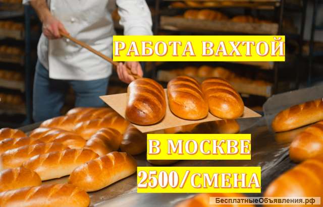 Работа упаковщик вахтой проживание в Москве 15/30