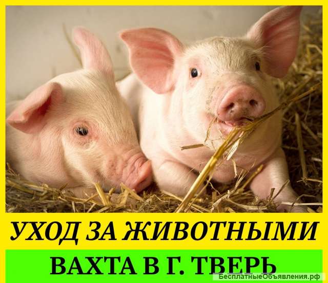 Разнорабочий на вахту с проживанием и питанием