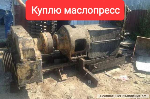 Маслопресс оборудование