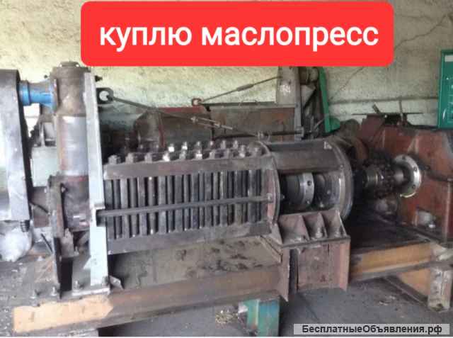 Маслопресс оборудование