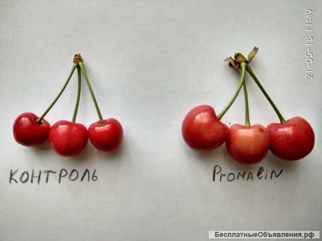 Промалин 500 мл