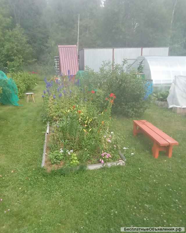 Дом в деревне