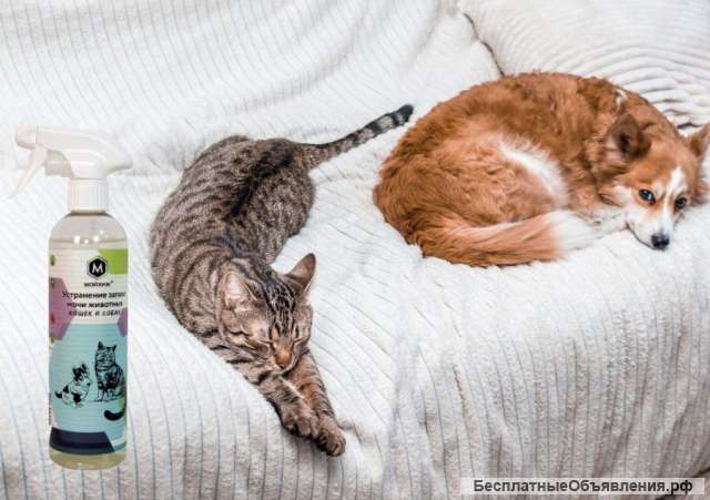 Поглотитель запаха