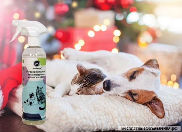 Поглотитель запаха