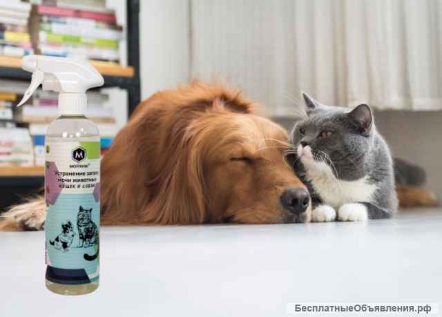 Поглотитель запаха