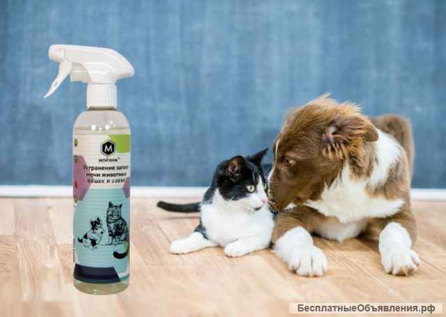 Поглотитель запаха