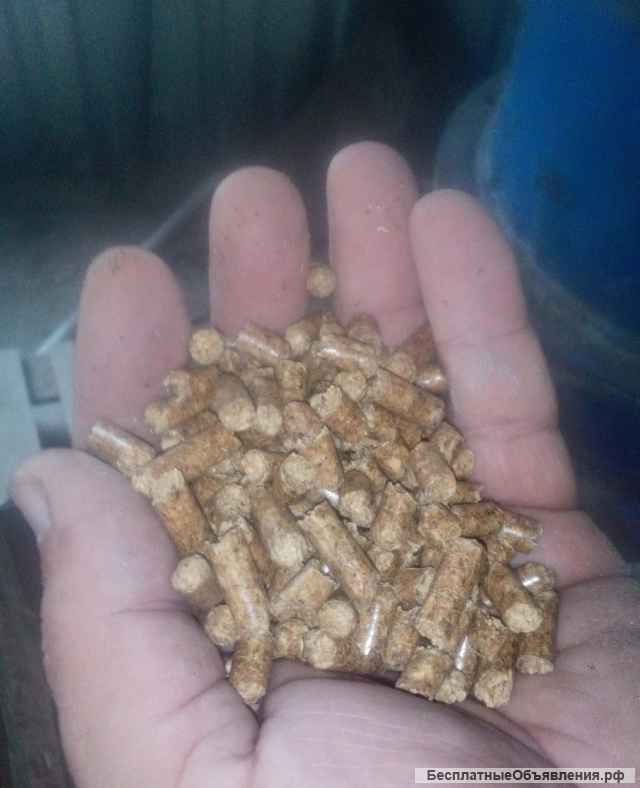 Гранулятор комбикорма (опилок) ГГД-165-2В-11