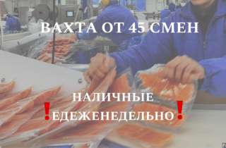Упаковщик вахта от 45 смен