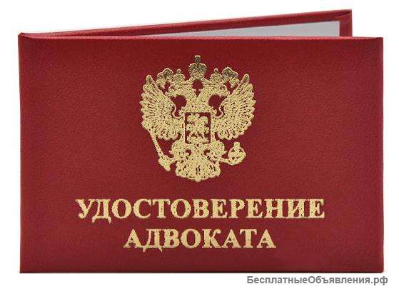 Адвокат по гражданским и уголовным делам