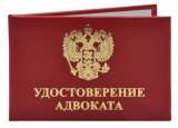 Адвокат по гражданским и уголовным делам