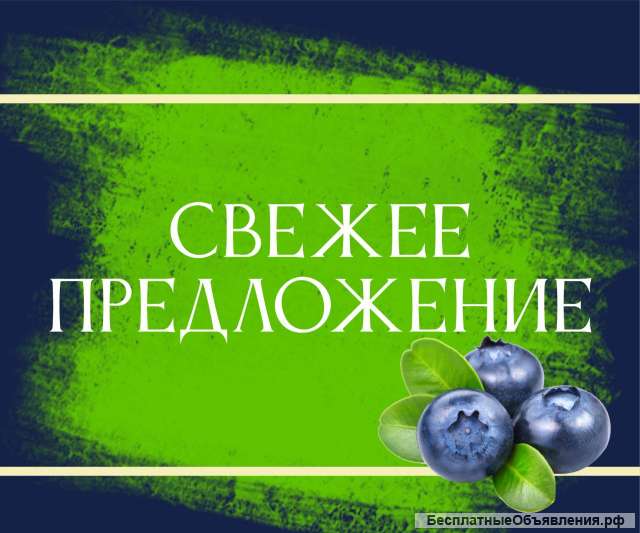 Кодировщик банковских карт