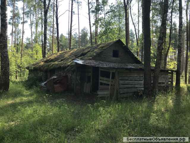 База отдыха на озере Глубокое