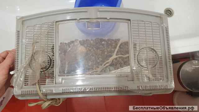 Террариум-переноска Karlie Smart-Keeper 40,3х23,5х25,5см