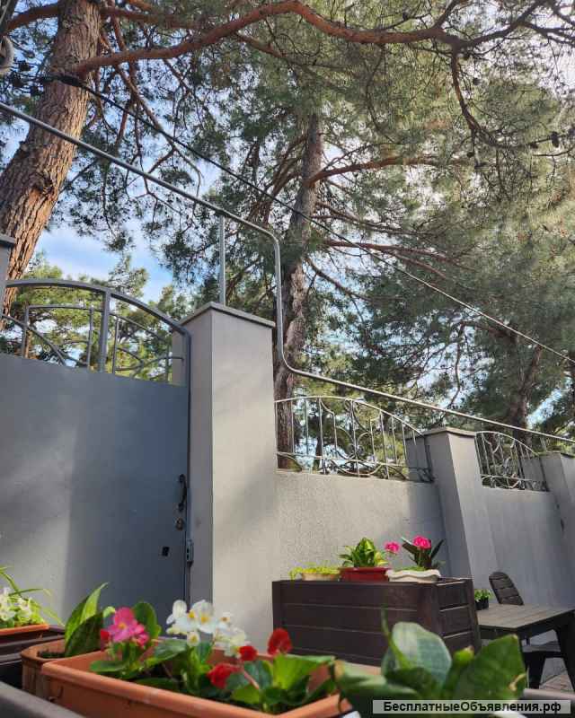 Аренда Мини Гостиницы на год