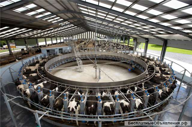 Доильного оборудования для молочных ферм