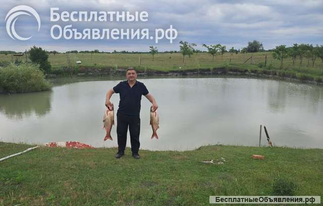 Загородная усадьба с виноградником и прудом в Сербии