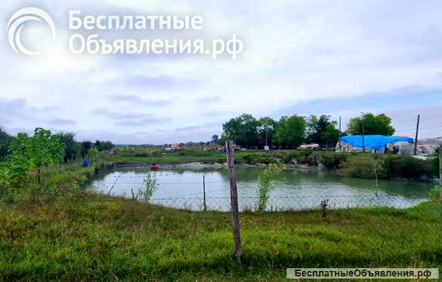 Загородная усадьба с виноградником и прудом в Сербии