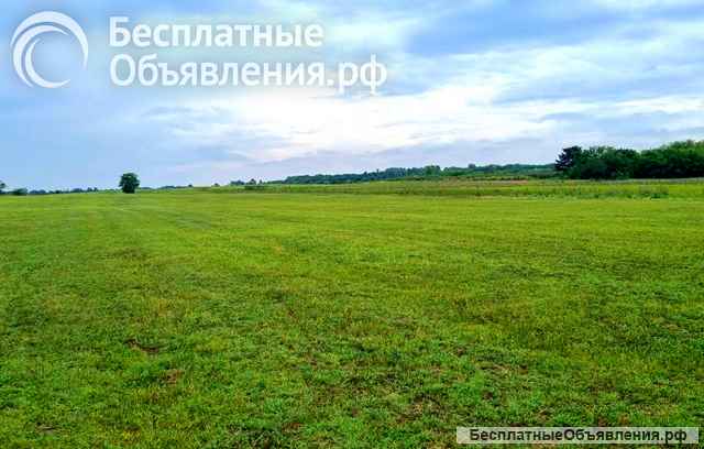 Загородная усадьба с виноградником и прудом в Сербии