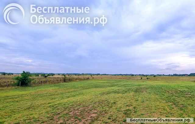 Загородная усадьба с виноградником и прудом в Сербии