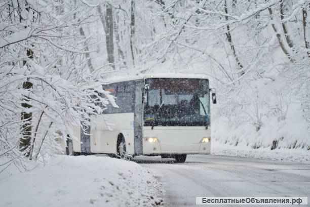 Пассажирские перевозки, аренда автобусов (микро-)