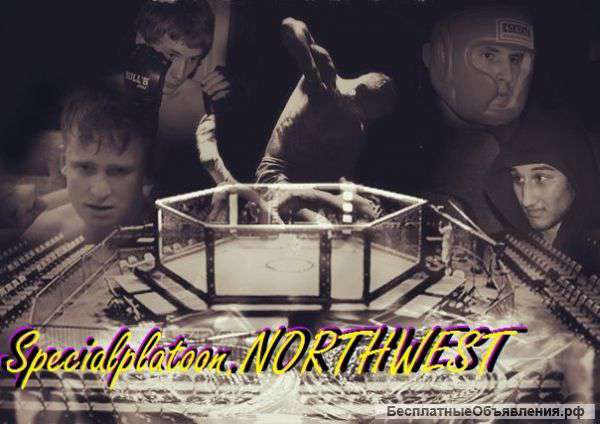 Записаться в секции смешанных единоборств и грепплинга