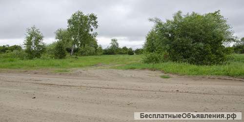 Земельный участок 54980 кв.м.