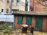 Участок 3 сотки