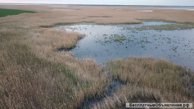 Земельный участок и дом