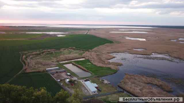 Земельный участок и дом