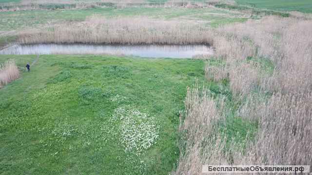 Земельный участок и дом