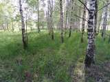 Уч-к 13 с-к в деревне с инфраструктурой