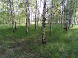 Уч-к 13 с-к в деревне с инфраструктурой