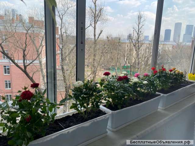 Двухкомнатная квартира с ремонтом в сталинском доме, рядом парк Фили