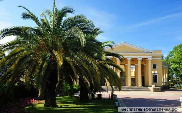 Обзорная экскурсия по Сочи