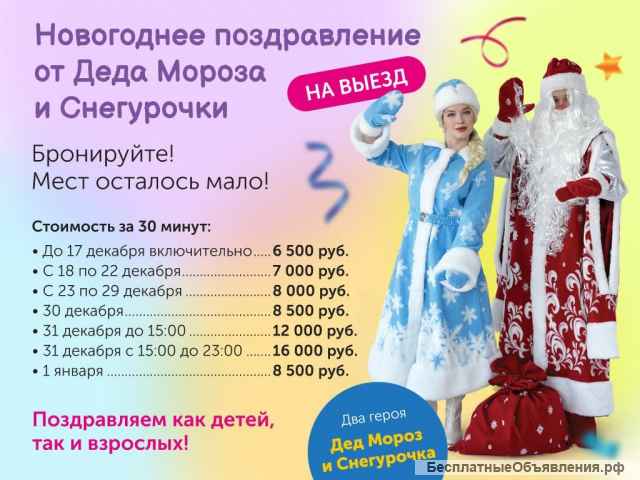 Дед Мороз и Снегурочка на выезд