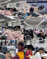 Швейная фабрика Avantex