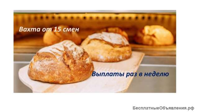 Вахта. Упаковщик. От 15 смен.