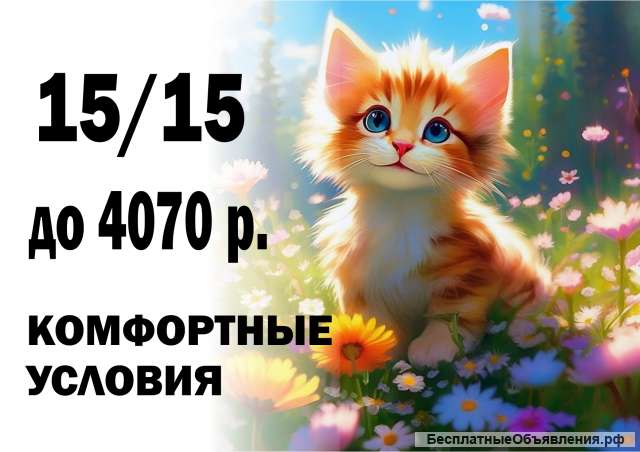 Вахта 15/20/30 Упаковщик подработка Москва питание проживание частые выплаты