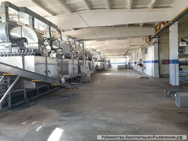 Линия по производству сушенных овощей и зелени