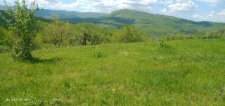 Участок в Нижней Голубиное, 60 соток