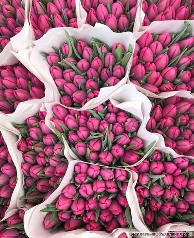 Тюльпаны на 8 марта оптом от производителя