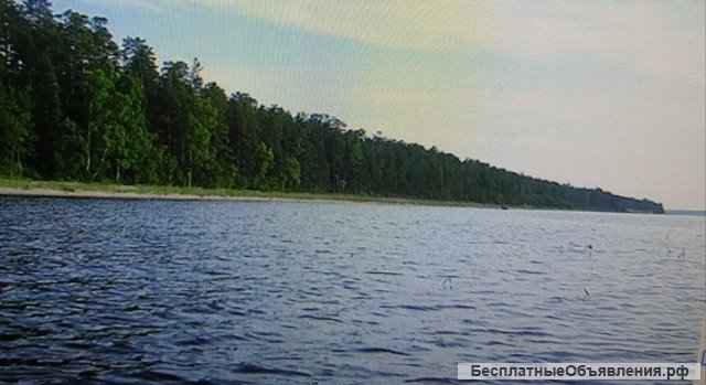 Участок 10с ЛПХ д.Большая Вруда, свет/газ рядом, озеро/лес.