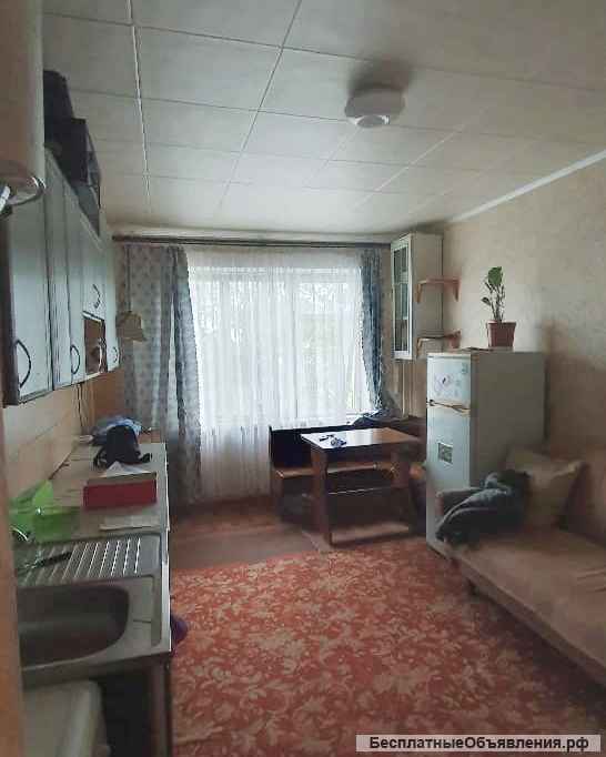 Квартира на Семи Ветрах