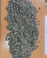 Черная Турецкая семечка