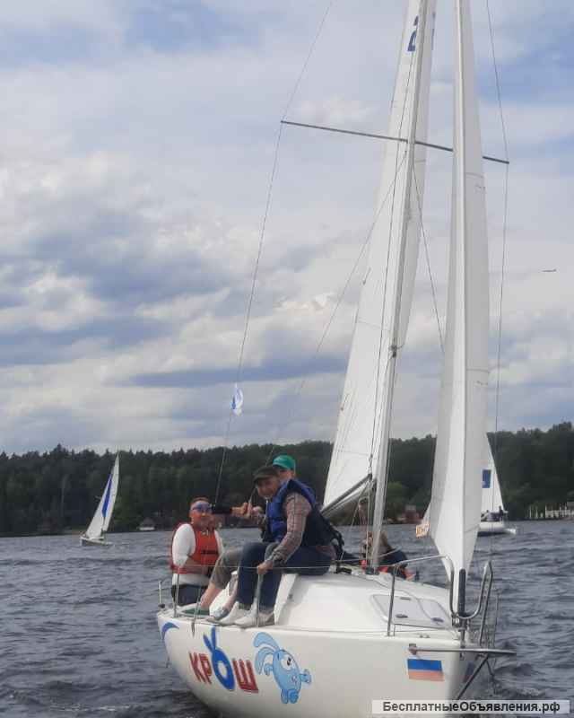 БЕСПЛАТНОЕ теоретическое занятие по яхтингу
