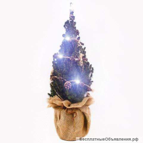 Ель обыкновенная в горшке с доставкой по Москве