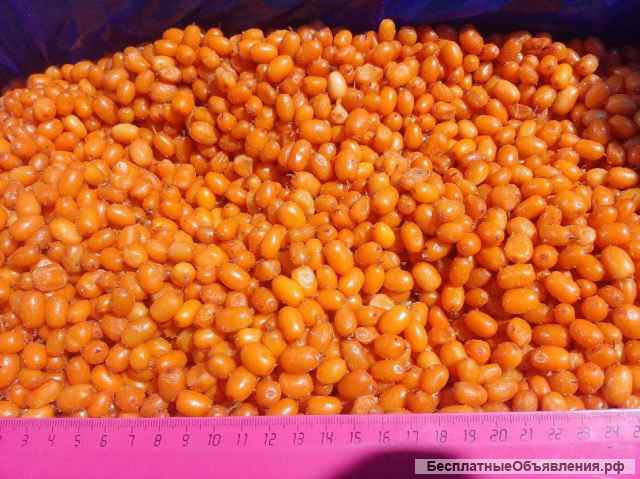 Замороженные ягоды