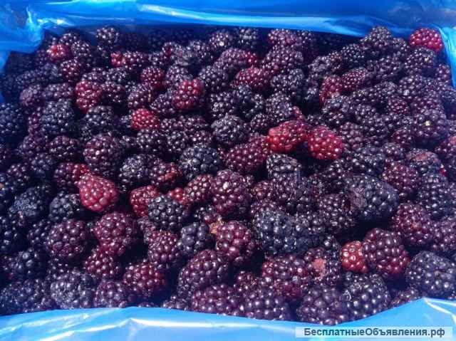 Замороженные ягоды